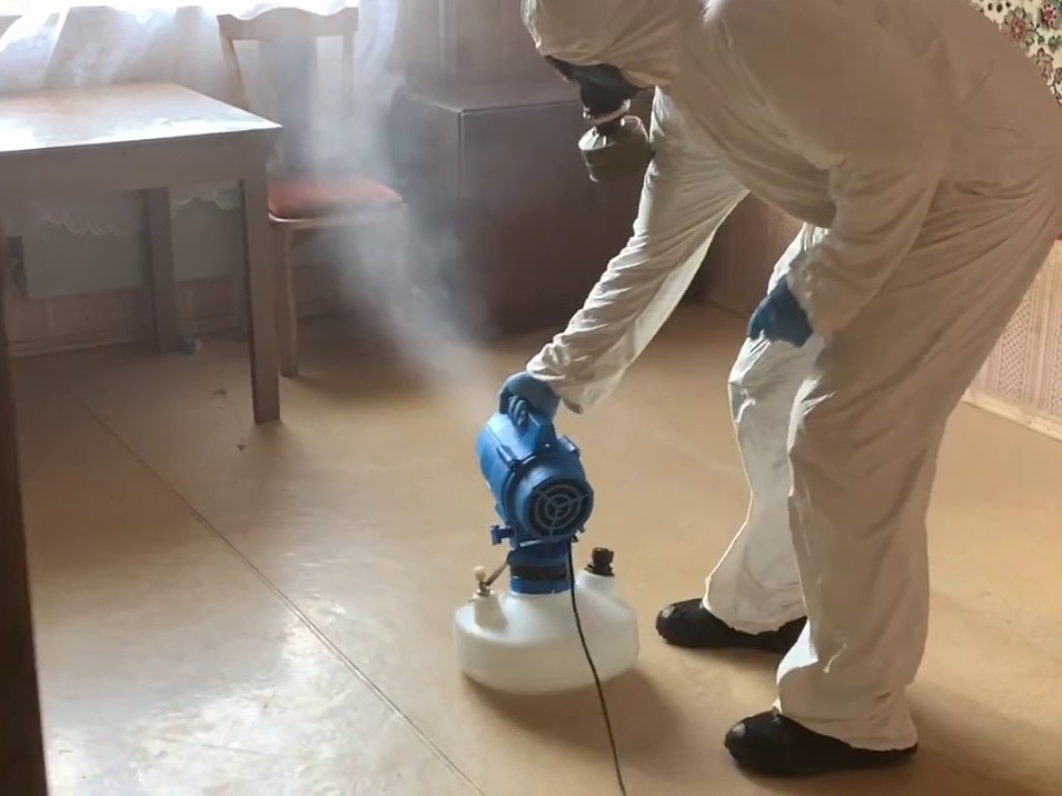 Уничтожение тараканов в квартире в Бузулуке